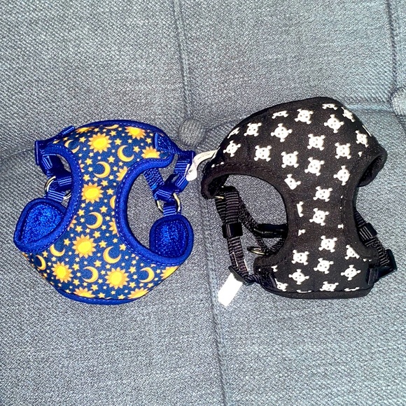 petsmart kitten harness